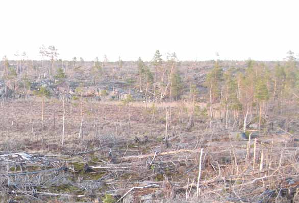 1000-talet, där en tjäderhane är avbildad. I byns närhet ligger också flera gravfält från järnåldern.