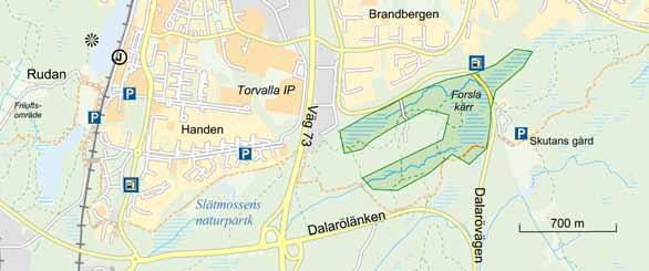 5. Forsla kärr rikkärr nära Brandbergen Att bege sig in i Forsla kärr, strax söder om Brandbergen, ser inte så lockande ut.