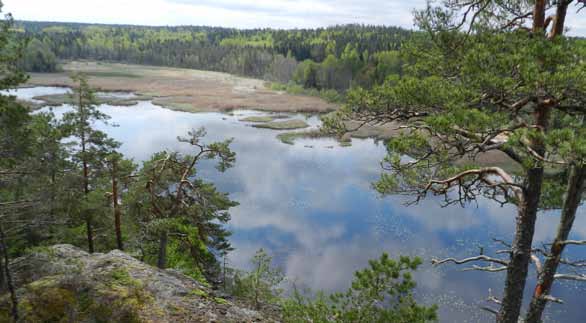 10. Vädersjön okänd fågelsjö i skogsbygd Vädersjön är en liten näringsrik sjö, där sångsvanen, tranan och lärkfalken hör till de bofasta fåglarna.