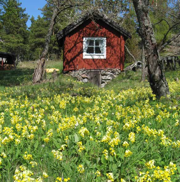 Stora Sandböte är ett av Haninges 20 naturreservat Skydda natur varför då? I över hundra år har vi i Sverige skyddat värdefulla naturområden, främst mot exploatering.