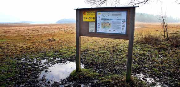 Under fåglarnas häckningstid får man bara gå över strandängarna längs en markerad stig tillträdesförbud under fåglarnas häckningstid.