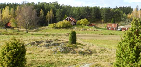 Norra Ornö har ett nät av skogsvägar mellan Skinnardal och Ornöboda.