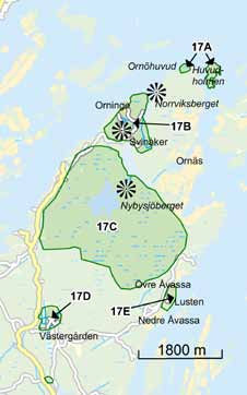 Orkidén nästrot saknar klorofyll 17 B. Svinåkerområdet paradis för växter Området mellan Hemträsk och det lilla Brakträsk på norra Ornö är ett eldorado för den som är intresserad av växter.