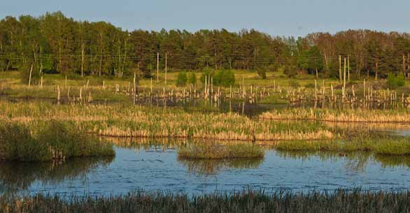 blåklockor svärmar olika arter av bastardsvärmare och andra ovanliga fjärilar. I området finns också fina svampmarker.