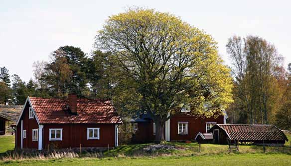 Rånö gård intressant och redan på 1600-talet fanns här ett säteri. Vid Kapelludden på öns södra del ligger en gammal ödekyrkogård och längs öns västra sida finns ett stort antal så kallade ryssugnar.