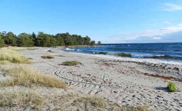 25. Nåttarö naturens egen sandlåda Längst söderut i Haninges skärgård ligger Nåttarö.