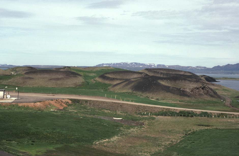 Fig. 42. Pseudokratrar vid södra stranden av Mývatn (Skútustaðir). De är bildade då den yngre Laxárlavan rann ut på ett fuktigt underlag eller i grunt vatten.