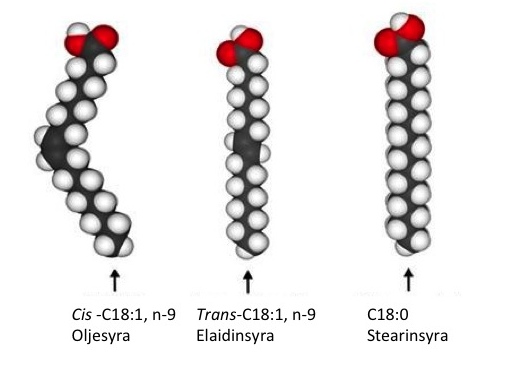 18 kolatomer och 2 dubbelbindningar varav den första sitter på kolatom nr 6 förkortas som C18:2, n- 6.