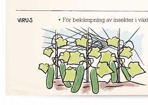 förorsakar förskämning i livsmedel eller