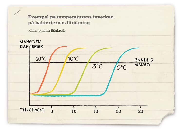 Bakteriernas förökningshastighet Förökningen av mikroberna påverkas av hur väl förhållandena motsvarar den ifrågavarande mikrobens idealiska förhållanden och hur länge ett sådant idealiskt