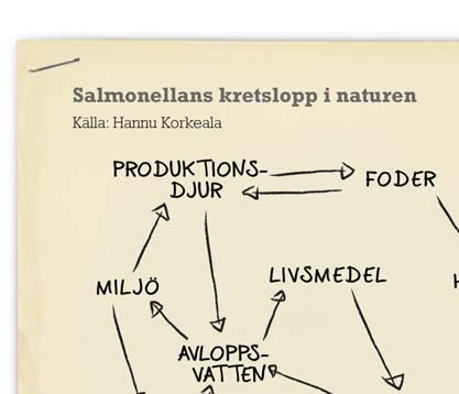 Orsaken kan vara ett gift från en mikrob eller en svamp, ett annat giftigt ämne, en mikrob, ett urdjur eller ett parasitdjur.