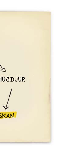 En frisk vuxen blir frisk från en matförgiftning på ett par dagar. För de insjuknade som hör till riskgrupper kan situationen vara allvarligare och räcka länge.