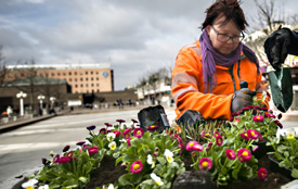 TISDAG 21 APRIL 2015. MITT I VÄSTERORT 17 födda Dödsfall l Hässelby Maria Damström född 1920 Britt Aina Linnéa Danielsson född 1925 Lycka till med lilla Julie!