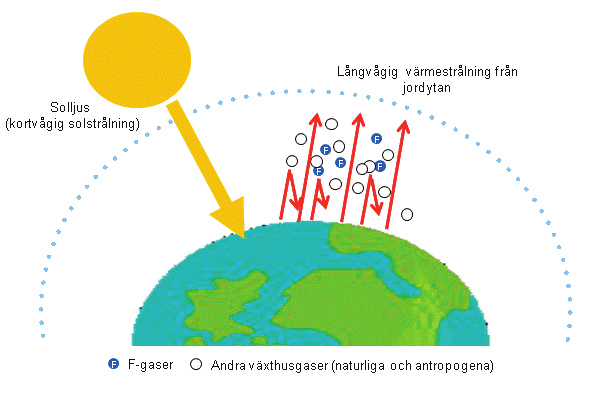 2 Allmän information om F-gas och F-gasförordningen 2.