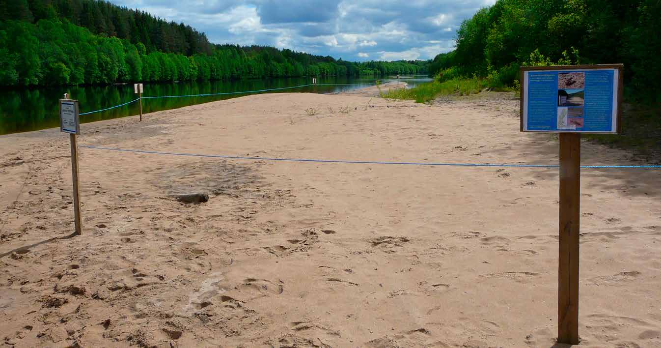 36 Naturvård på sötvattensstränder Generellt har få naturvårdsåtgärder gjorts för att förbättra förhållandena för den biologiska mångfalden på sötvattensstränder, trots att det finns ett stort behov