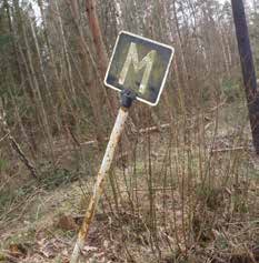 som är uppsatta på fönstret. Barnen kan forma med färgen och återigen bli det mycket fokus på bokstäver.