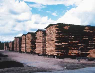 Av Tomas Törnqvist Kemiskt träskydd Trä som har högre fuktkvot än 25 30% bryts förr eller senare ned av mikroorganismer. Det är därför viktigt att trä hålls torrt i brukarstadiet.