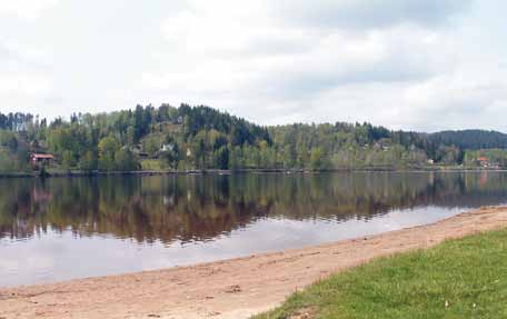 Ofta är det glest mellan de ganska få fiskarter som trivs här; abborre gädda och mört förstås, men här finns också öring eller röding. Vegetationen runt stränderna är glesbevuxen.