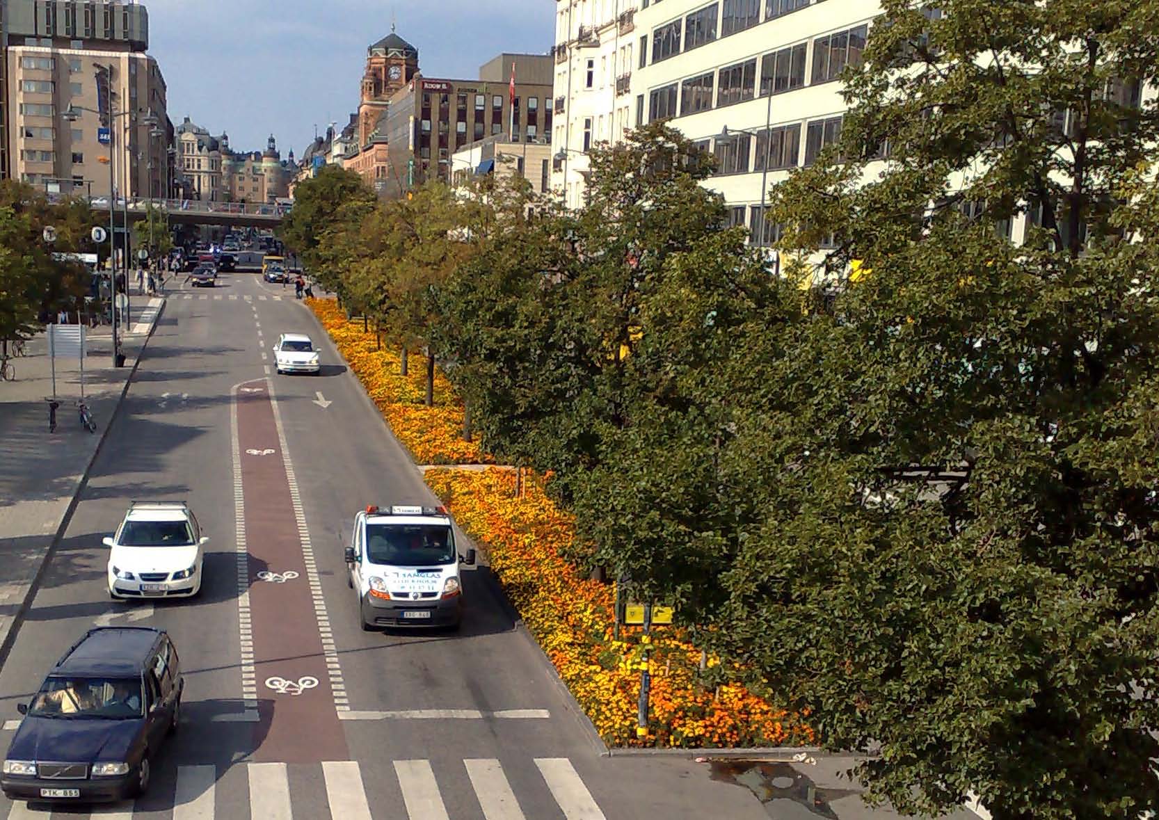 VÄXTBÄDDAR I STOCKHOLM