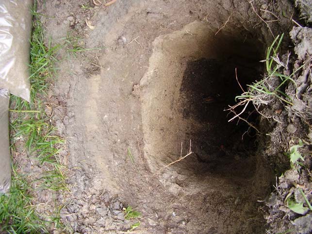 2009.02.23 NYPLANTERING 3.1 Träd i vegetationsyta, naturlik markprofil Vid nyplantering i befintliga parkytor bör man ta hänsyn till vilka markförutsättningar som råder på platsen.