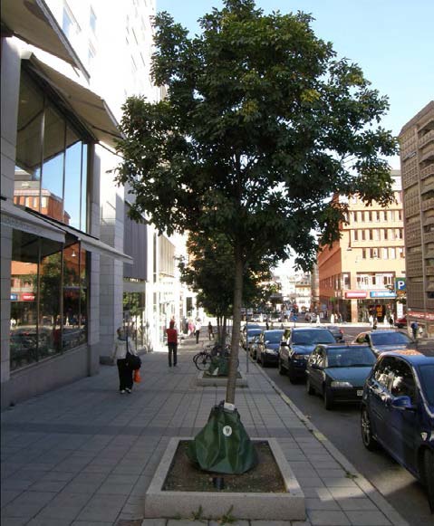 2009.02.23 SKÖTSEL OCH KONTROLL Gödsling Gödsling utförs vid varje bevattningstillfälle under hela växtsäsongen, med början i april, med en svag gödsellösning på 1-2 promille.