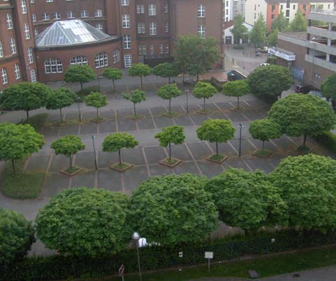 2009.02.23 BAKGRUND 1 BAKGRUND Träd i staden är en självklarhet för många människor och av de allra flesta ett uppskattat inslag i stadsmiljön. Men stadsträdens livsvillkor är ofta svåra.