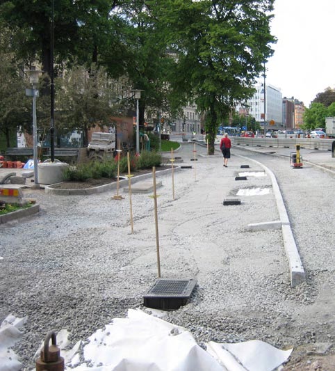 bärlager. Sträckan innehåller både nya planteringsgropar och ytor som växtbäddsrenoverats för befintliga gatuträd.