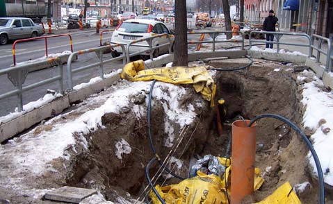 2009.02.23 BAKGRUND Syrebrist Tillgången till syre i mark är den enskilt mest kritiska faktor för stadsträdens välmående.