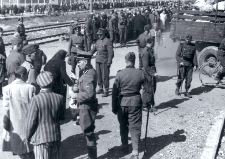 En av flera bilder av»sorteringen«på rampen i Birkenau. Många överlevande vittnar om hur denna stund var slutet för deras familjer.