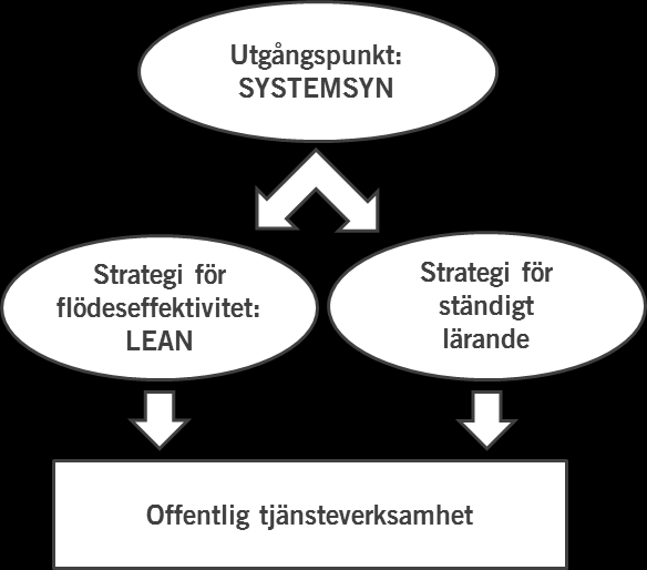 Leans utveckling och dess koppling till Toyotas systemsyn I rapportens inledning nämndes systems thinking som ett andra spår när det gäller ansatser som utgår från Toyotas produktionsfilosofi.