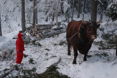 3.STEG PÅ VÄGEN Hela Sverige ska leva Att reflektera kring Tillsammans Vilka färdigheter skulle lokalsamhället behöva återupptäcka?