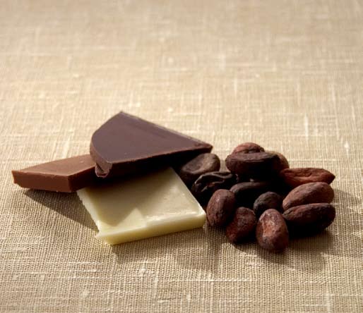 Choklad Cikoria Cikoria Rotcikoria, Cichorium intybus, innehåller inulin (12 15 %) som kan användas vid framställning av fruktos och fruktooligosackarider.
