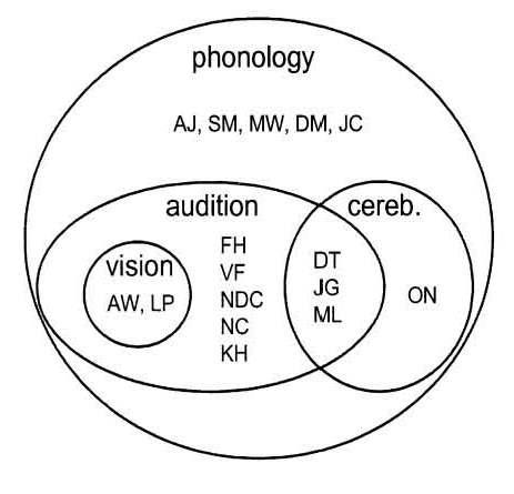 auditiva och visuella svårigheter. En person uppvisade fonologiska svårigheter i kombination med automatiseringssvårigheter (se figur 2.3). Figur 2.