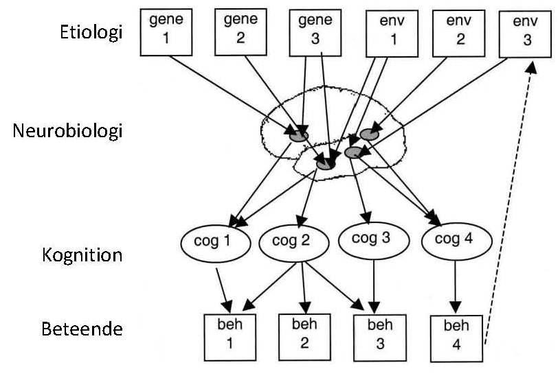 ringsmodell över utvecklingsmässiga nedsättningar av Frith (1999). Dyslexi betraktas utifrån modellen primärt ha biologiska orsaker som härrör från både gener (gene) och miljöfaktorer (env).