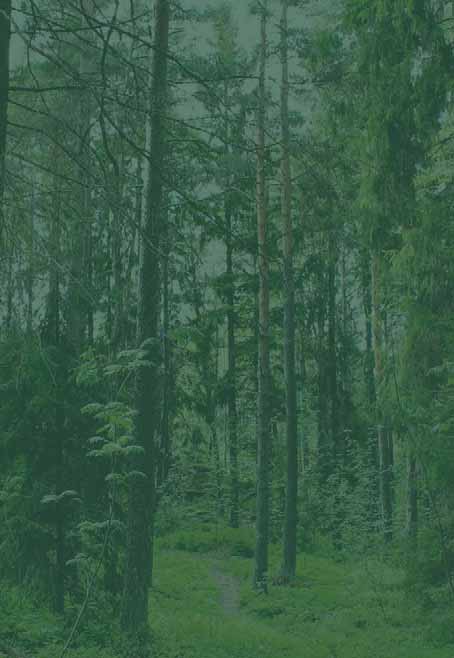 PEFC garanterar inför kunder och allmänhet att PEFC-certifierade skogar sköts enligt definierade krav för skogsskötsel, miljöhänsyn och