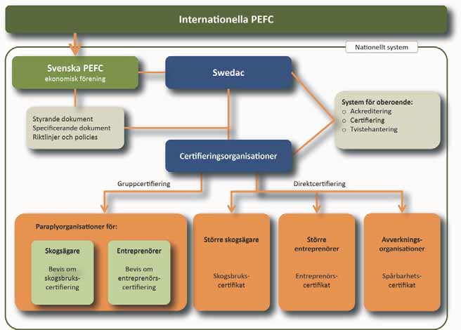 Svenska PEFC certifieringssystem PEFC-certifiering bygger på oberoende kontroll och granskning av tredje part av att kraven följs. Så här är det svenska certifieringssystemet uppbyggt.