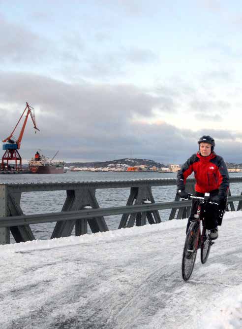 2 ÅTGÄRDSOMRÅDEN Drift och underhåll CYKELPROGRAMMETS FYRA ÅTGÄRDSOMRÅDEN Infrastruktur PRINCIPER FÖR DRIFT OCH UNDERHÅLL För att uppnå cykelprogrammets funktionskrav och erbjuda god standard på