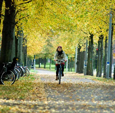 ÅTGÄRDSOMRÅDEN Drift och underhåll 2 Exempel på nya och skärpta riktlinjer för tillsyn och underhåll av vägmärken och vägmarkeringar för att uppnå en god standard på cykelvägnätet Pendlingscykelnät