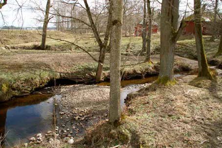 7 I anslutning till lekplatserna är det bra om det finns närhet till skydd för lekfisken, exempelvis en hölja, sten eller grövre död ved.