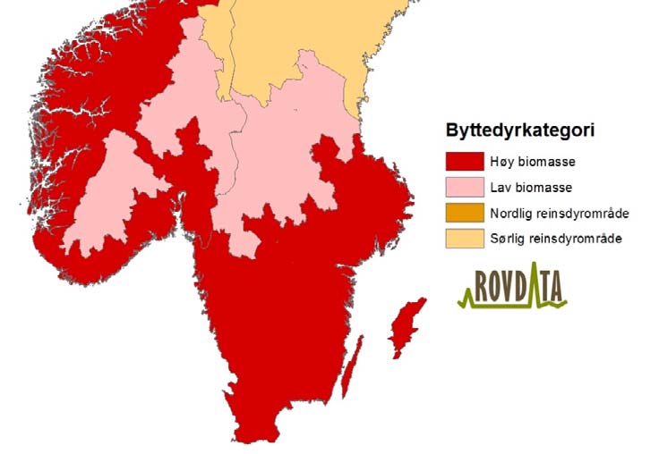 For å beregne antallet gauper i Skandinavia tas det utgangspunkt i antall familiegrupper.