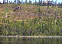 Kulturmiljövärden Det är viktigt att tänka på att bevara det öppna jordbrukslandskapet och att bevara landskapsbilden. För att gynna t.ex.