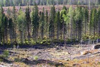 Beskuggning är således lämpligt när man vill skydda värdefulla vatten så att de ej behöver dikesrensas. Försök i Himleån i Halland har också visat att detta fungerar i svenska förhållanden.