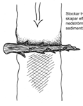 eller från stranden. Nedströms riktad ved samlar minst sediment.