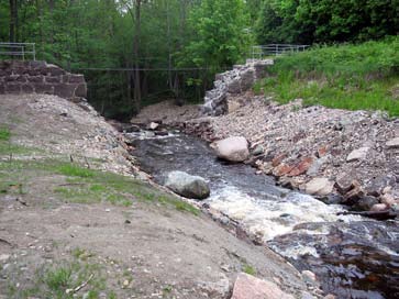 Tätheten av öring har ökat från 5,2 till 140 per 100 m 2 två år efter åtgärd.