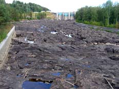 Vad kan göras inom befintliga ramar? De rekommendationer som ges här är föreslagna åtgärder och nivåer i skyddsvärda vattendrag. De utgör på intet sätt myndigheternas ställningstaganden. 1.