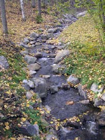 Dessutom finns risk att vattnet söker sig ned i marken och skapar nya vägar i fallinjen. Det gäller att säkra bottnarna med täta lager, t.ex. geotextiler. Figur 9.