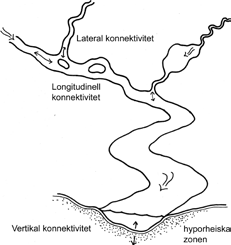 Avrinningsområde På en given plats i ett vattendrag är det ett begränsat område uppströms som tillför vatten, sediment och ämnen till ett gemensamt utlopp.