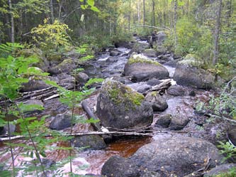 När man rensat och sprängt i vattendragen är det naturligtvis de stora stenarna och blocken som försvunnit. I och med detta har vattenhastigheten i vattendraget ökat.