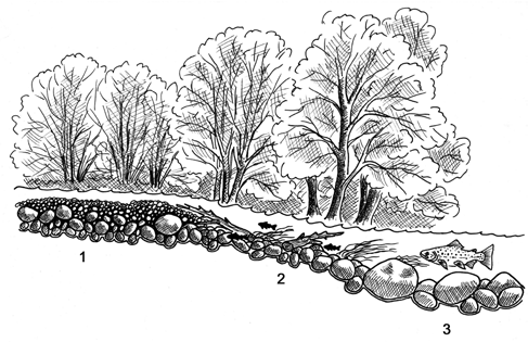 Figur 10. En schematisk bild över tre-stegsmodellen introducerad av Bodafors fiskevårdssällskap för att restaurera ett vattendrag med strömlevande öring.