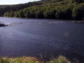 genom att sänka stränderna något. Ibland finns det en tydlig artificiell avstängning av bifåran i form av en jordvall eller en flottledsmur.